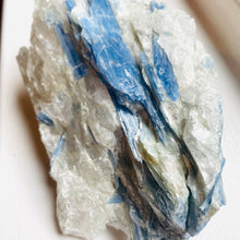 Load image into Gallery viewer, Kyanite Freeform
