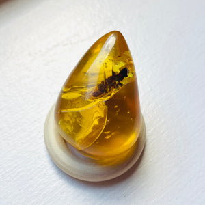 Amber Teardrop