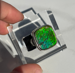 Ammolite Square Ring - US 6.5