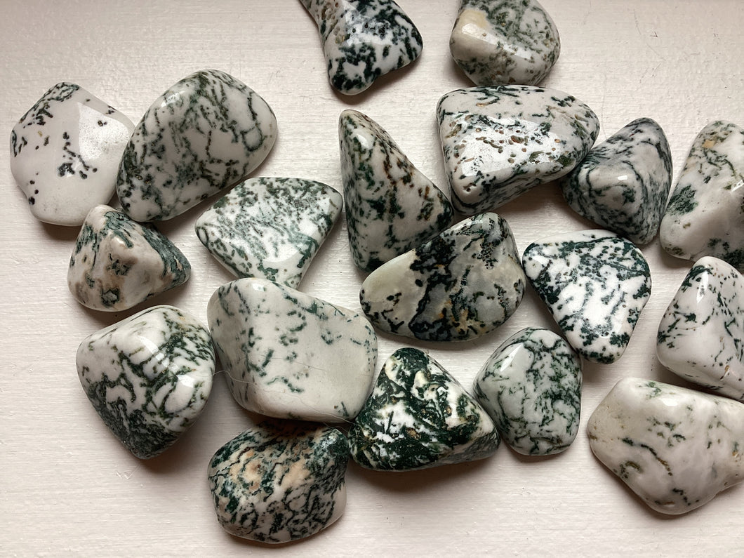 Tree Agate Tumble