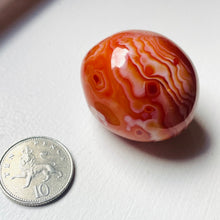 Load image into Gallery viewer, Carnelian Agate Pebble
