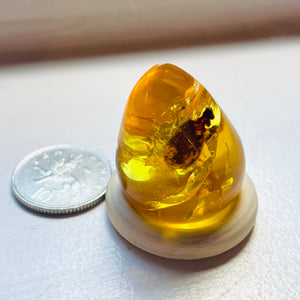 Amber Teardrop