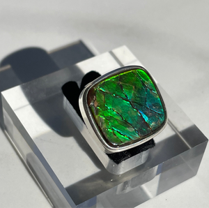 Ammolite Square Ring - US 6.5