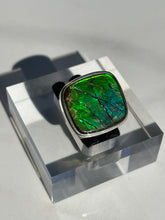 Load image into Gallery viewer, Ammolite Square Ring - US 6.5
