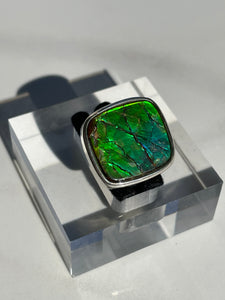 Ammolite Square Ring - US 6.5