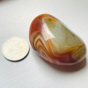 Agate Pebble - Silk Carnelian