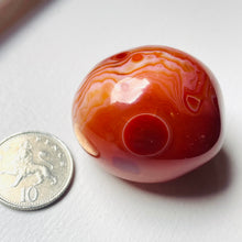 Load image into Gallery viewer, Carnelian Agate Pebble
