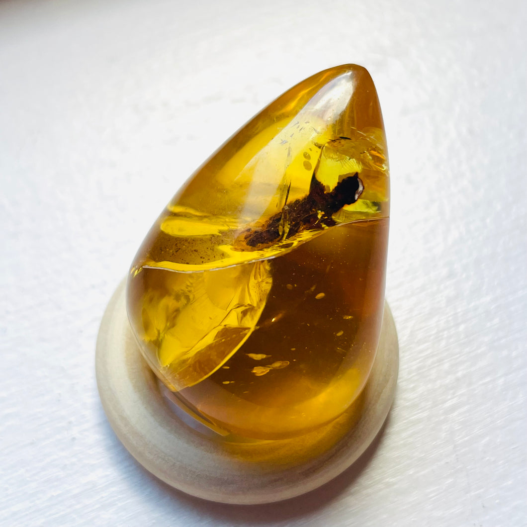 Amber Teardrop