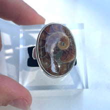 Load image into Gallery viewer, Ammonite Large Oval Statement Ring - US 9.5
