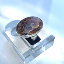 Load image into Gallery viewer, Ammonite Large Oval Statement Ring - US 9.5
