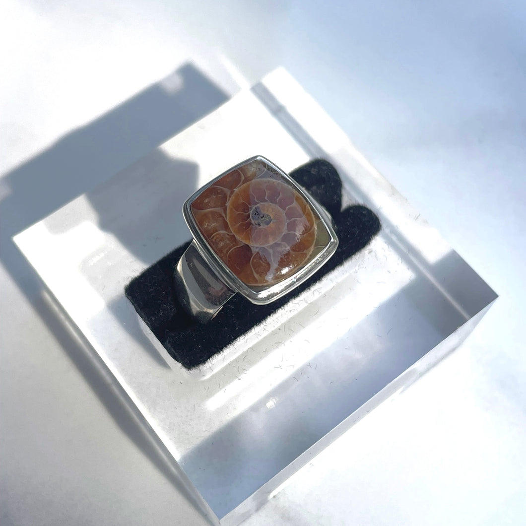 Ammonite Square Ring - US 6