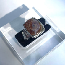 Load image into Gallery viewer, Ammonite Square Ring - US 6
