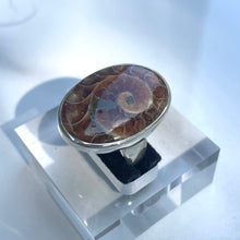 Load image into Gallery viewer, Ammonite Large Oval Statement Ring - US 9.5
