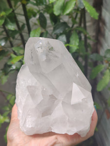 Clear Quartz Cluster