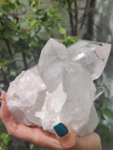 Clear Quartz Cluster