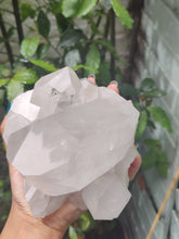 Load image into Gallery viewer, Clear Quartz Cluster
