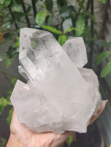 Clear Quartz Cluster