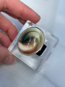 Shiva Eye Shell Ring #1 - US 7.5